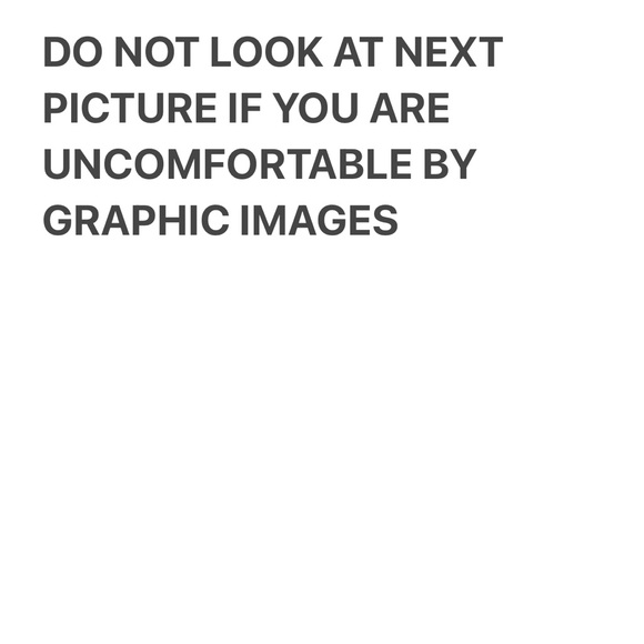 Museum of Death Shirt - Ted Bundy - Picture 2 of 5